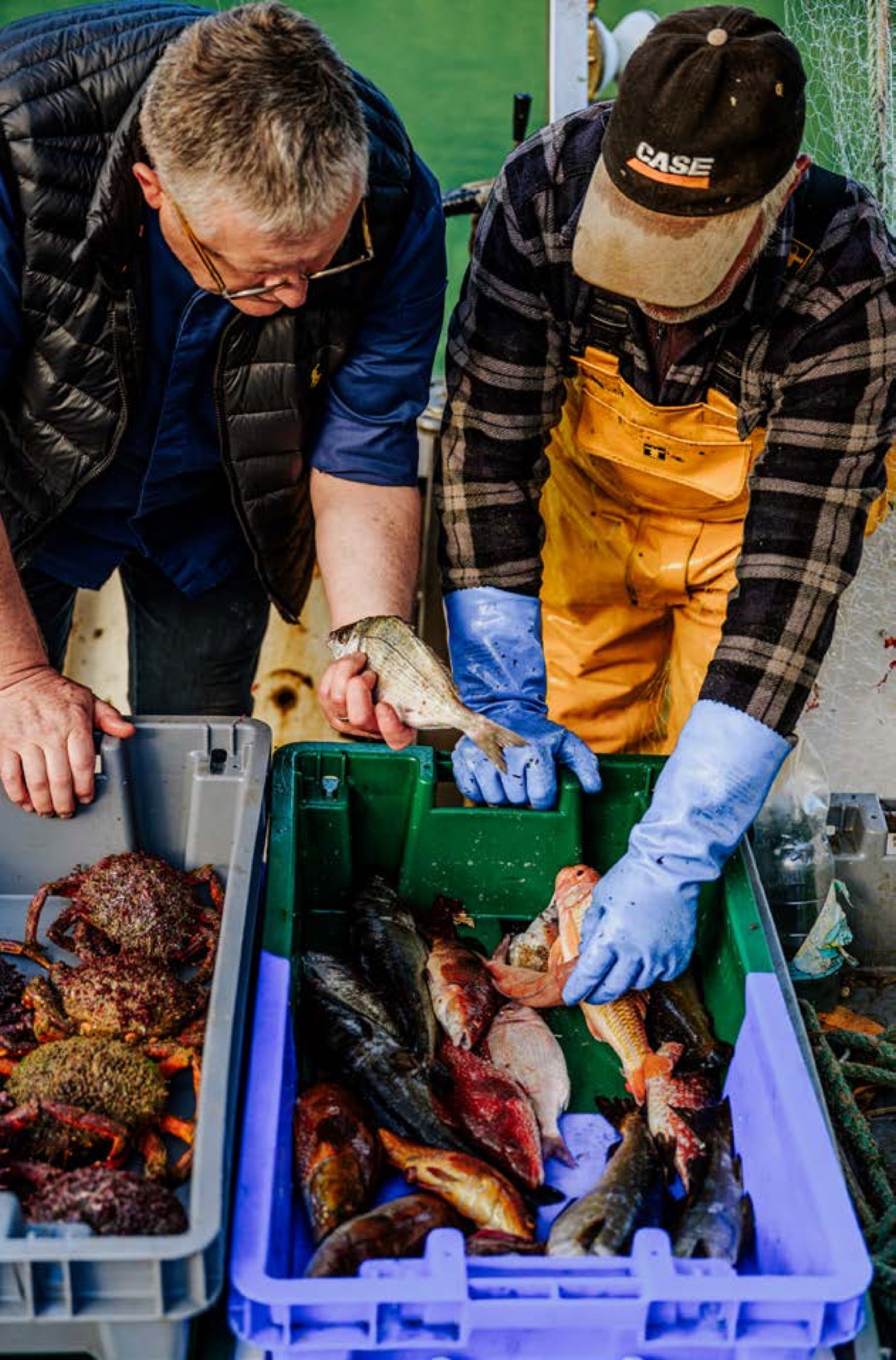 Loic Le Bail sur le port avec un pecheur, selection du poisson du jour