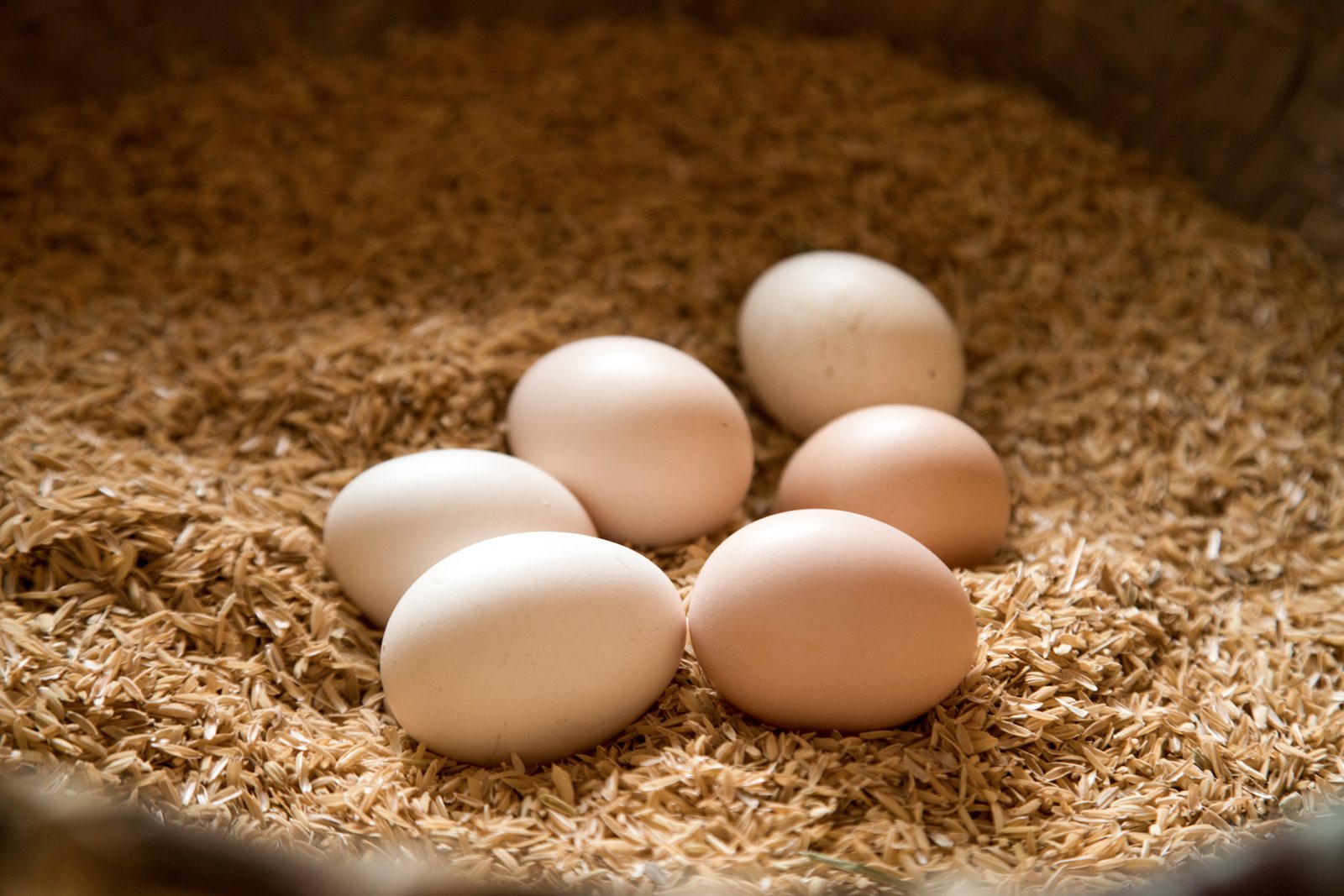 Cuisine anti-gaspillage Six Senses, œufs de la ferme du resort · La Revue des Hôtels