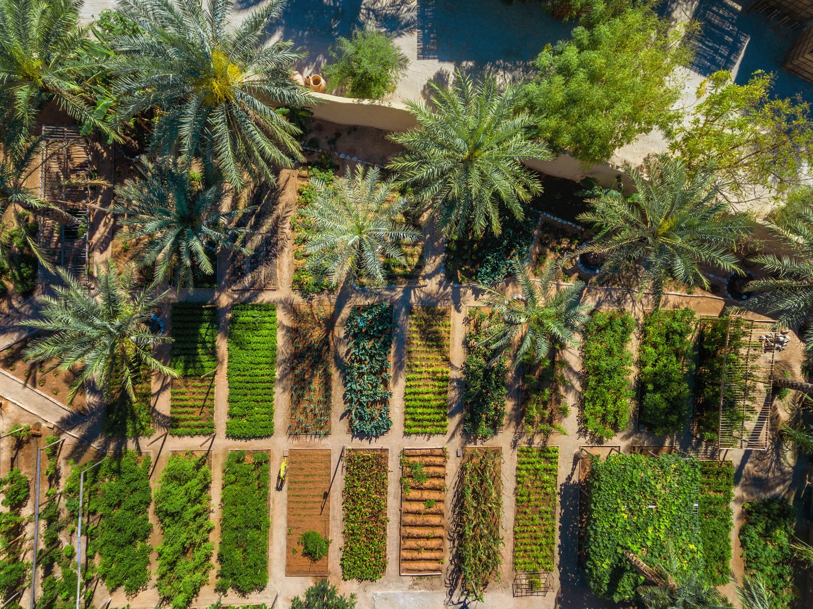 Ferme biologique intégrée d'un resort Six Senses, vue aérienne · La Revue des Hôtels