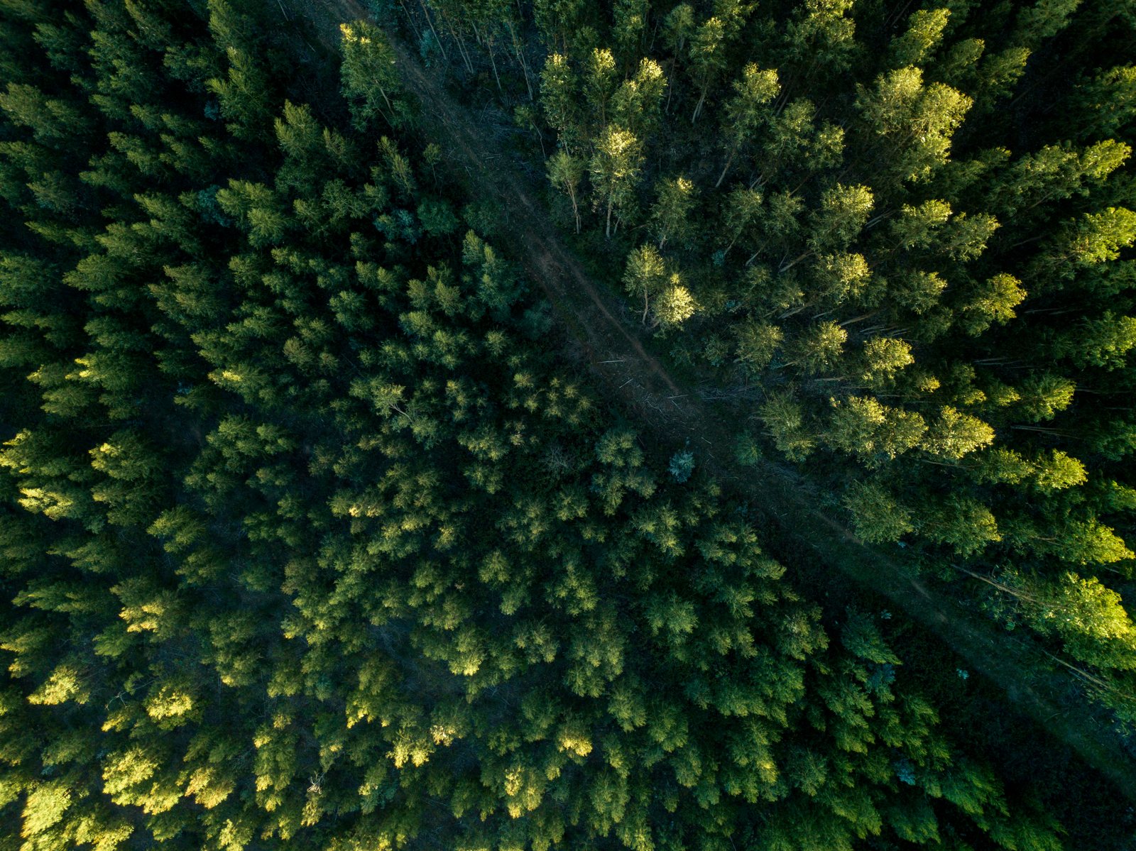 Six Senses et l'ONU pour la durabilité, initiative Recipe of Change · La Revue des Hôtels