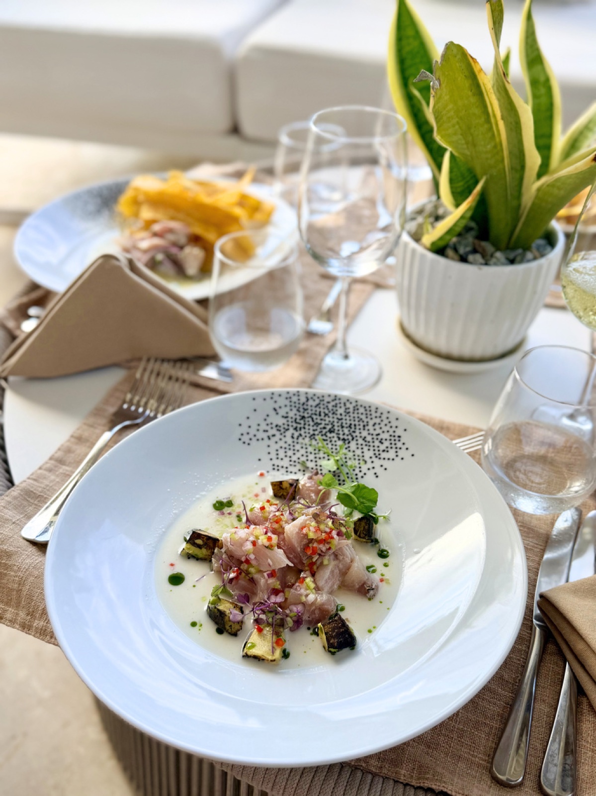 Plat de ceviche du Chef Patricio Mardones avec poisson cru, citron vert et herbes fraîches