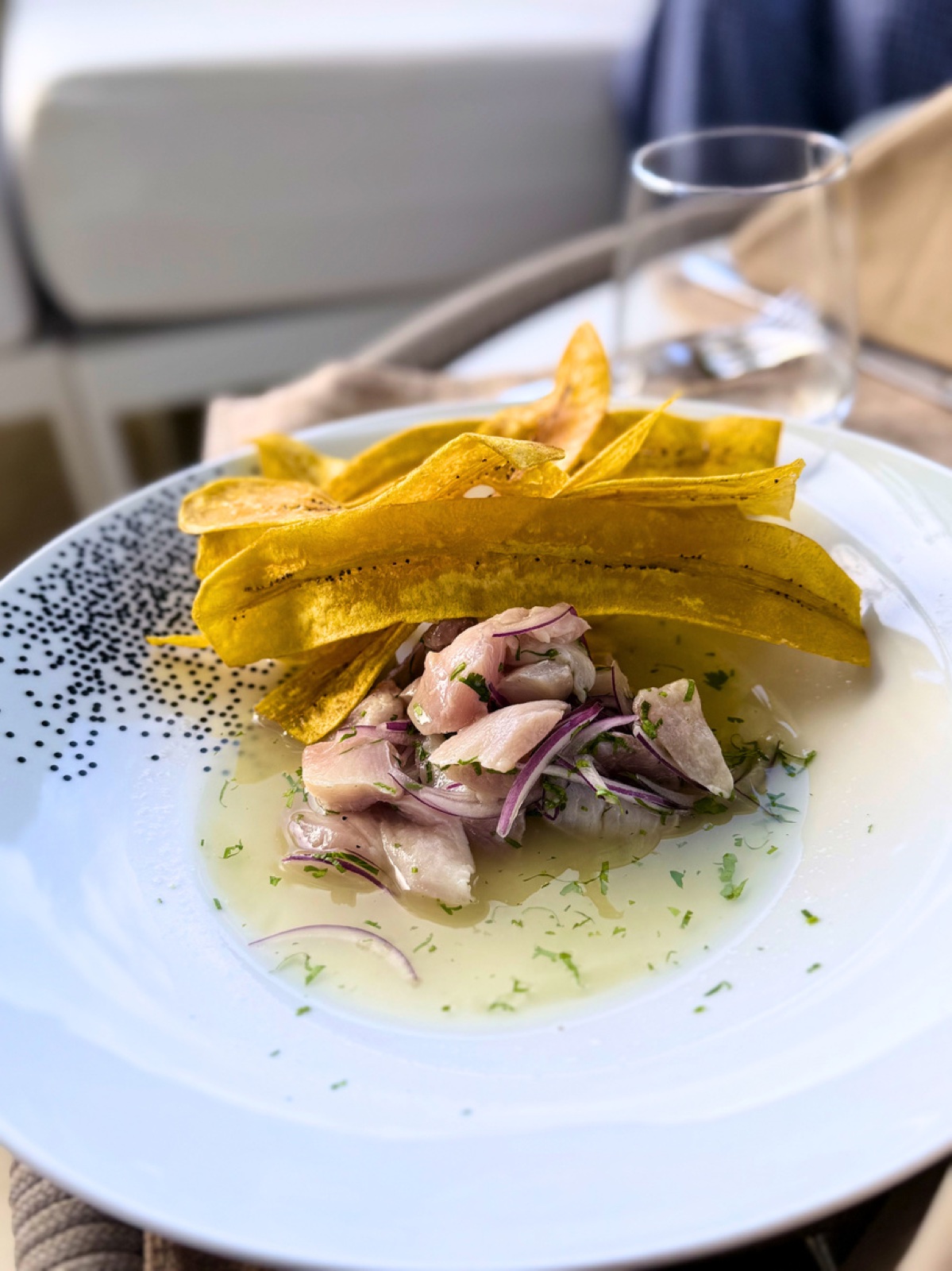 Ceviche aux tostones de banane plantain dressé sur assiette blanche, Sublime Samana Hotel & Residences