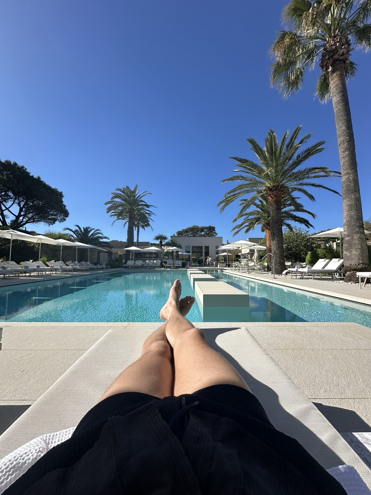 Transat au bord de la piscine entouré de palmiers Hôtel Sezz Saint-Tropez