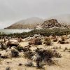 Vue extérieure de The Invisible House à Joshua Tree, façade en verre réfléchissant miroir dans le désert californien
