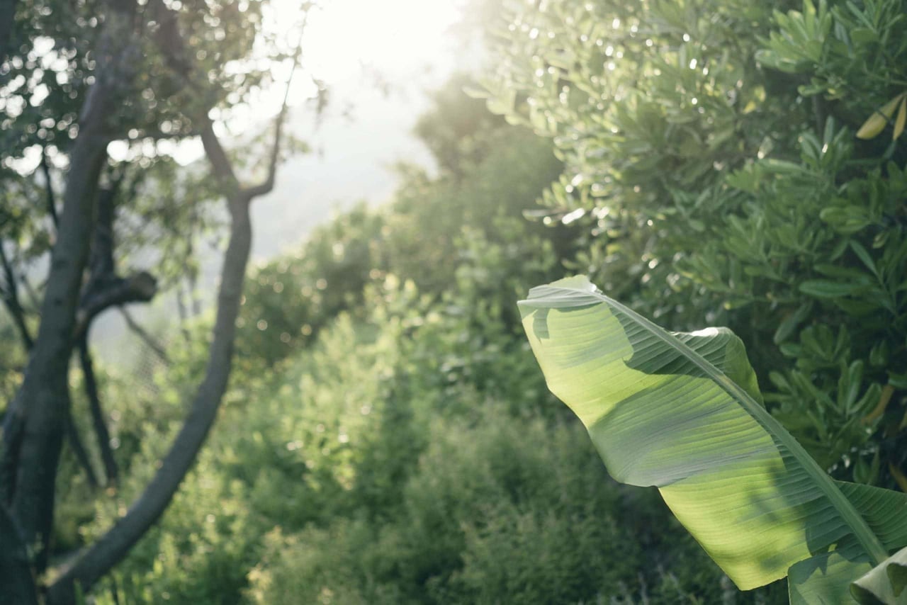 Eco-resort Lefay niché dans un paysage verdoyant, démarche écologique