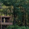 Wooden treehouse on stilts among a dense green forest, with a small balcony and chairs visible inside the cabin.