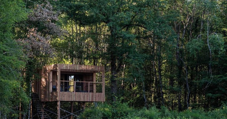 Wooden treehouse on stilts among a dense green forest, with a small balcony and chairs visible inside the cabin.