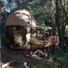 Vue exterieure du Mushroom Dome Cabin, dome geodesique dans les bois d'Aptos, Californie