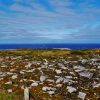 Rocky coastal plain with scattered stones and low vegetation, the sea at the horizon under a cloudy blue sky.