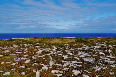 Rocky coastal plain with scattered stones and low vegetation, the sea at the horizon under a cloudy blue sky.