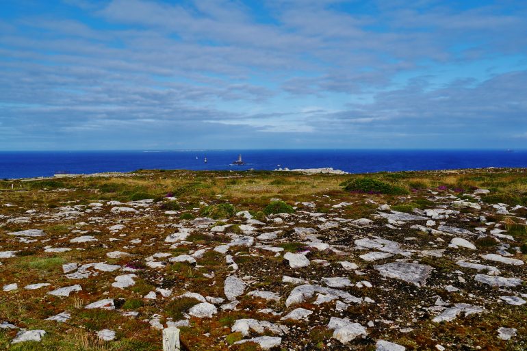 Rocky coastal plain with scattered stones and low vegetation, the sea at the horizon under a cloudy blue sky.