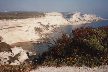White limestone cliffs along a calm blue coastline, with rocky shore and sparse vegetation in the foreground.