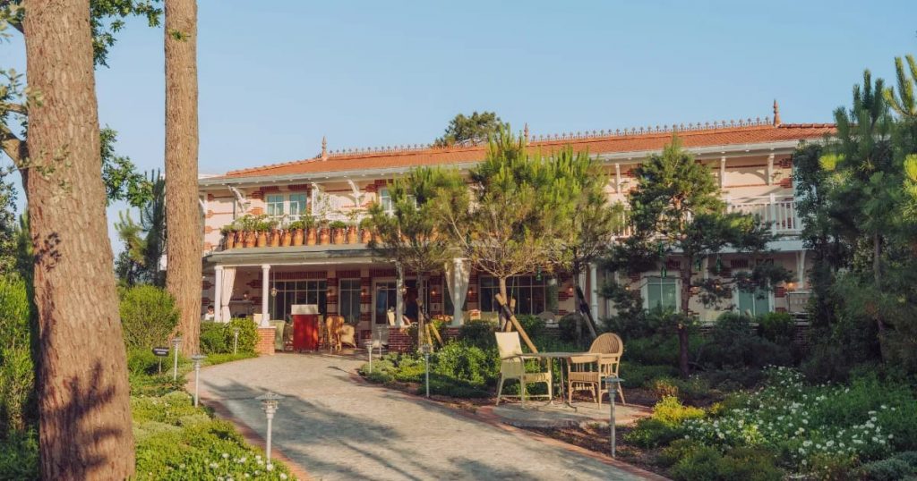 Les meilleurs hôtels au Cap Ferret · notre classement 2026 (face au Bassin)