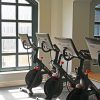 Row of Peloton stationary bikes in a bright spin studio by a large arched window, screens up front.