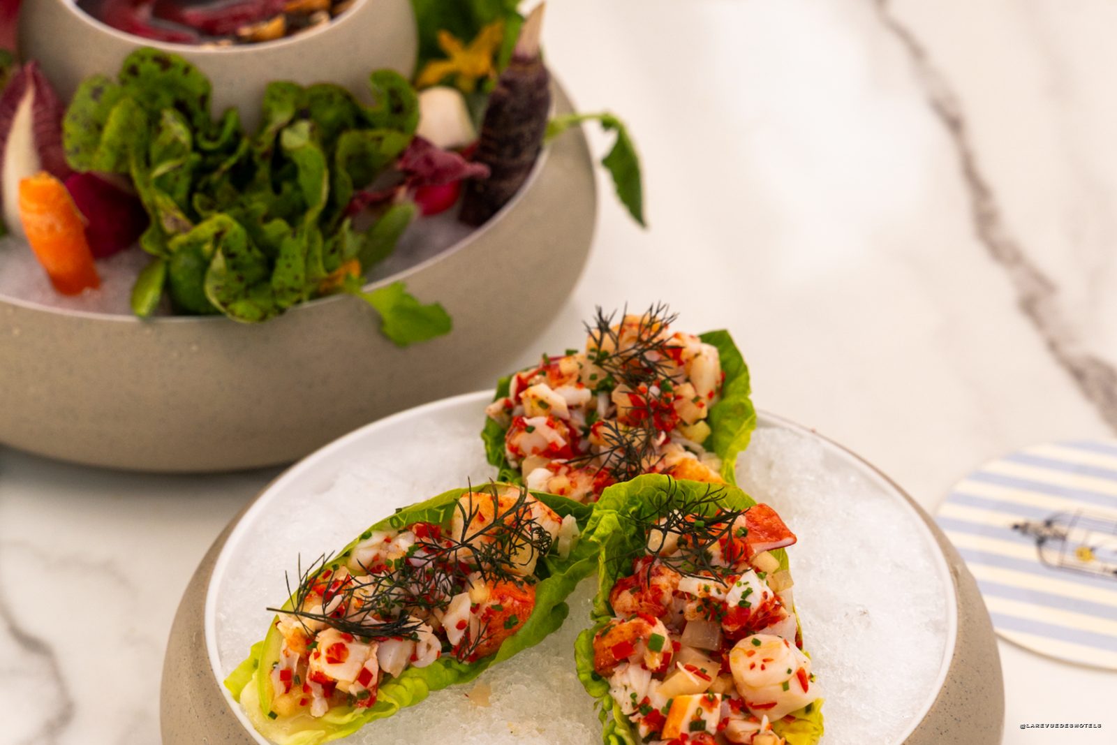 Le rooftop Perch de The Charleston Place, piscine et bar-jardin sur le toit