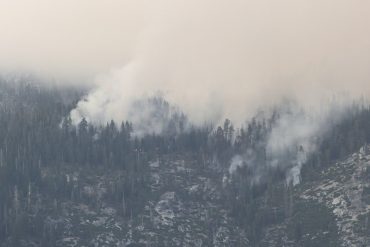 Smoke rising through a mountainous forest as a wildfire burns among the trees, with a pale sky above.
