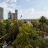 Vue sur la verdure de Polanco depuis le Kimpton El Castelar à Mexico