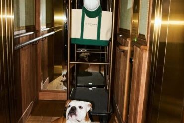 L'hôtel La Fantaisie rue Cadet à Paris · notre test