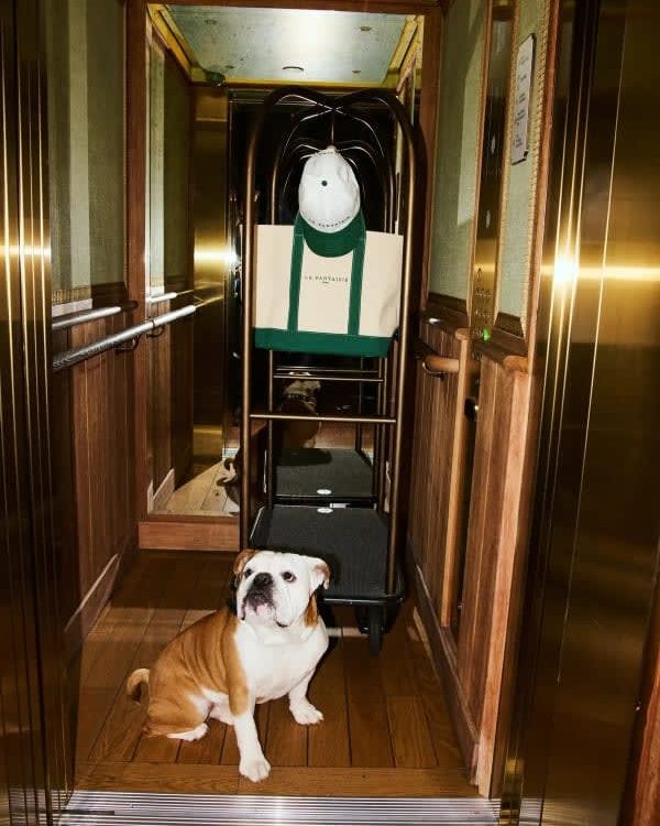 L'hôtel La Fantaisie rue Cadet à Paris · notre test