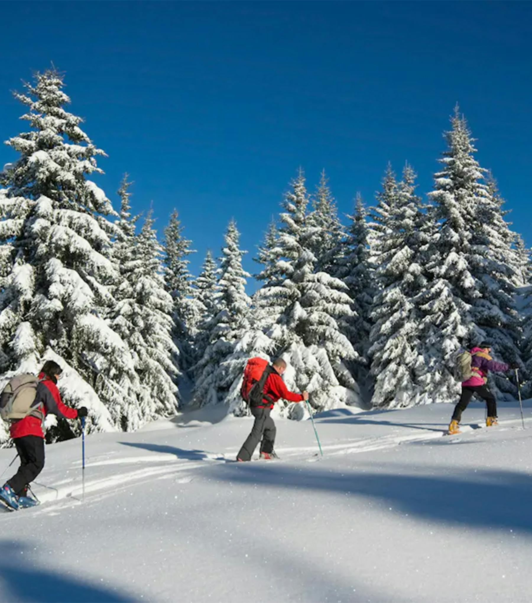 Une sortie en raquettes proposée par Airelles Val d'Isère