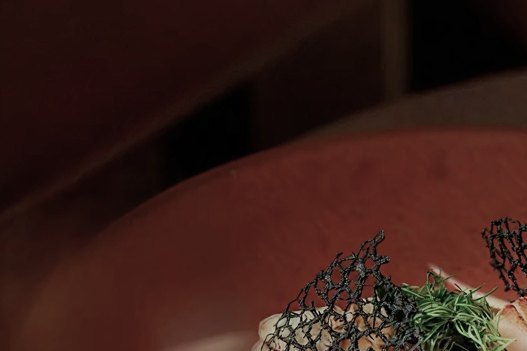 Une assiette servie au restaurant du lagon géothermique Reykjaböð