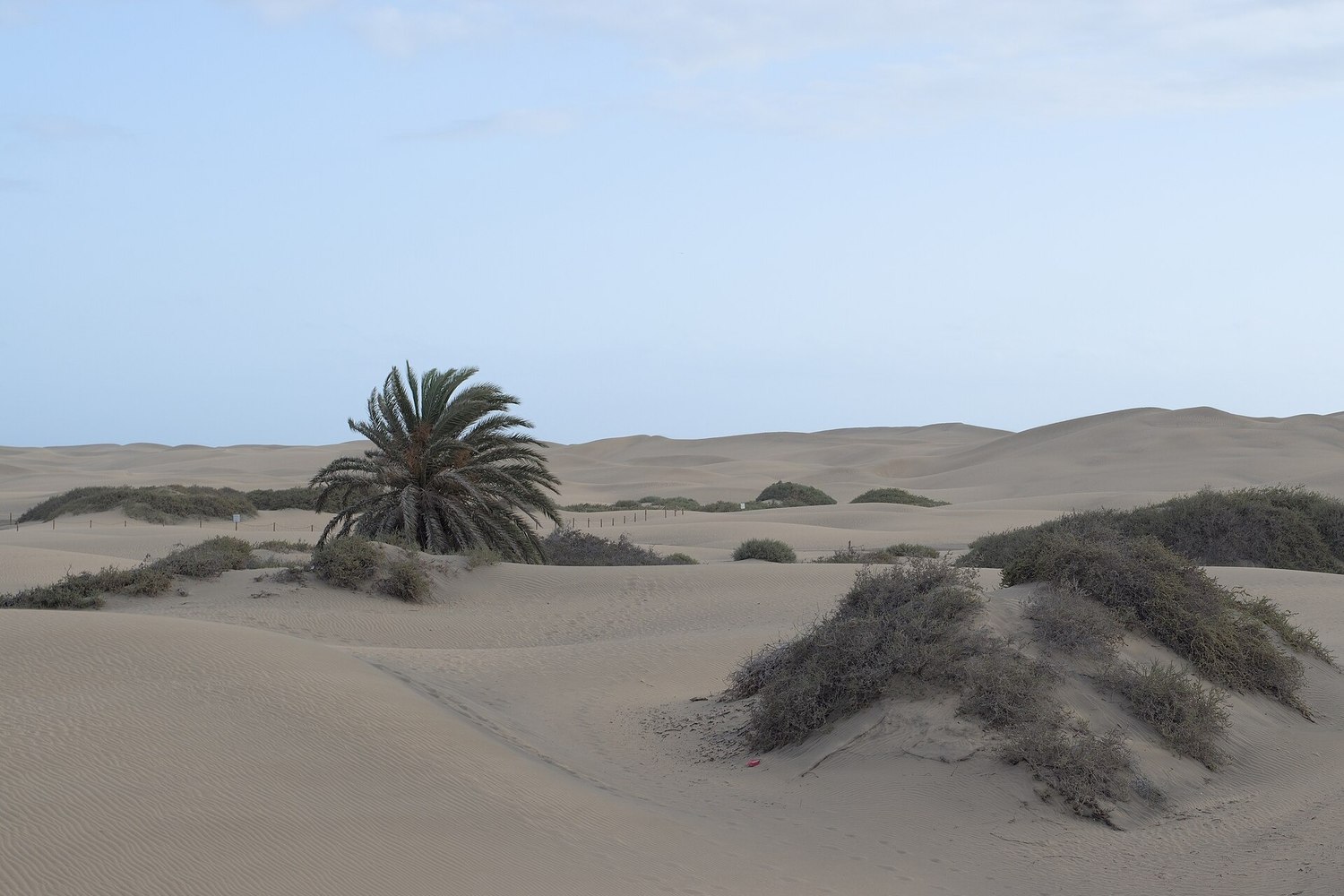 Les dunes de Maspalomas, dans le sud de la Grande Canarie
