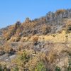 Hilly landscape scarred by wildfire with blackened trees, small green regrowth, and a road with a guardrail along the slope.
