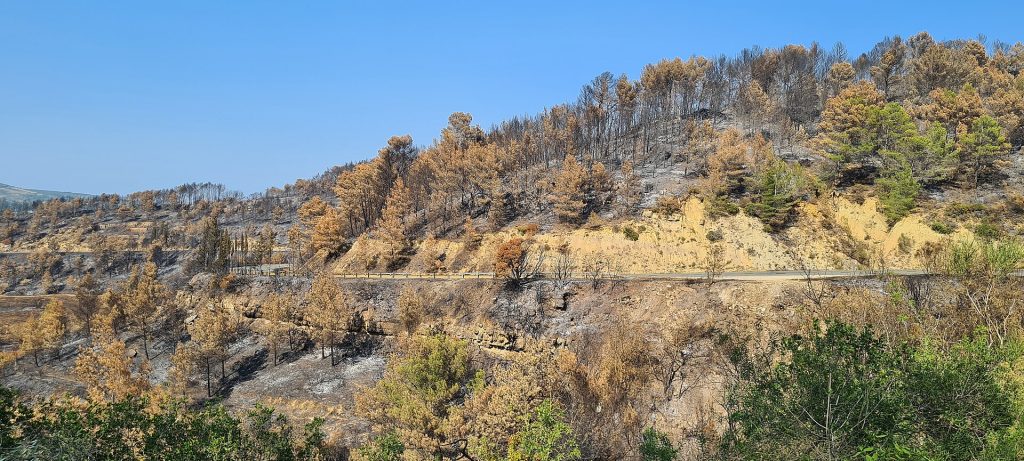 Incendies de l&rsquo;été 2026 : l&rsquo;hôtellerie du Sud de la France sous la pression du climat