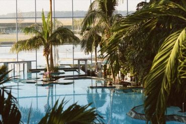 Indoor tropical pool area with palm trees, glass walls, and stepping platforms.