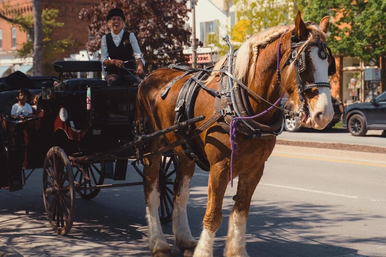 Une calèche sur Queen Street, à Niagara-on-the-Lake