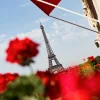 Les géraniums rouges de l'Hôtel Plaza Athénée, palace Dorchester Collection de l'avenue Montaigne, avec la tour Eiffel en arrière-plan