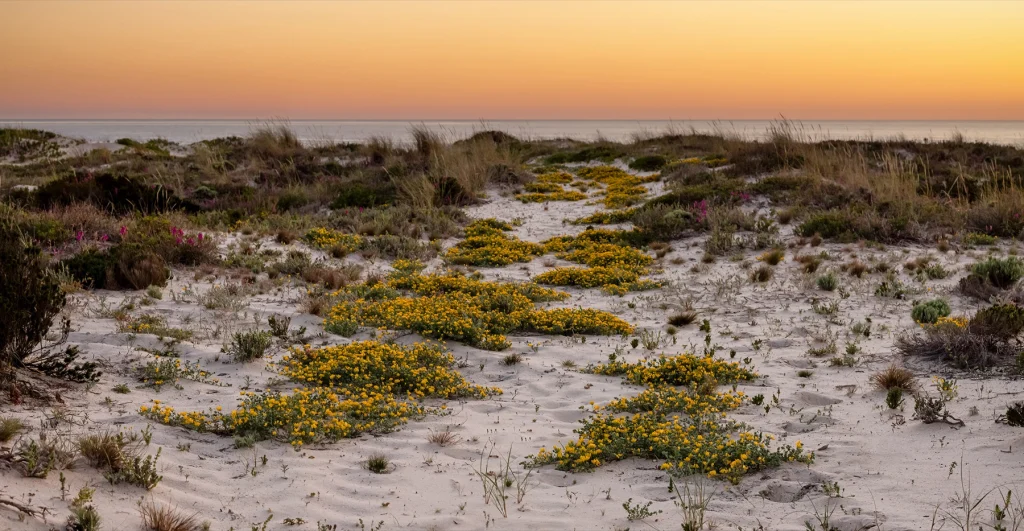 El hotel Na Praia abrirá el 1 de mayo de 2027 en las dunas de Tróia, al norte de Comporta (Portugal)