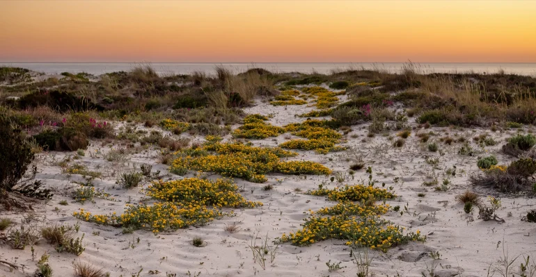 L’hôtel Na Praia ouvrira le 1er mai 2027 à Tróia, dans les dunes au nord de Comporta