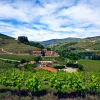 Le manoir du Six Senses Douro Valley entouré de vignes en terrasses au-dessus du Douro, au Portugal