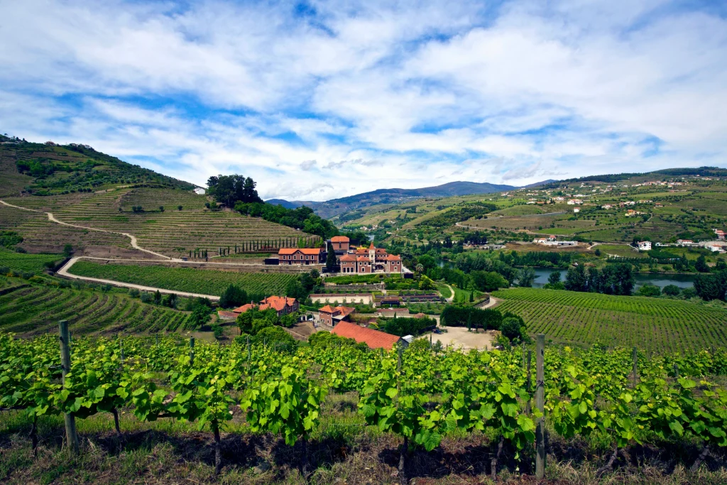 The Six Senses Douro Valley hotel, Portugal’s best boutique hotel, serves an eight-seat Japanese dinner
