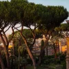 Vue au coucher du soleil sur les pins parasols depuis une terrasse de l'hôtel Experimental Roma, près de la Via Veneto