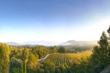 Les vignes dorées de Villa La Coste au soleil levant, face au Luberon, pour les vacances de la Toussaint