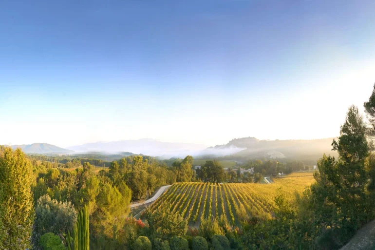 Les vignes dorées de Villa La Coste au soleil levant, face au Luberon, pour les vacances de la Toussaint
