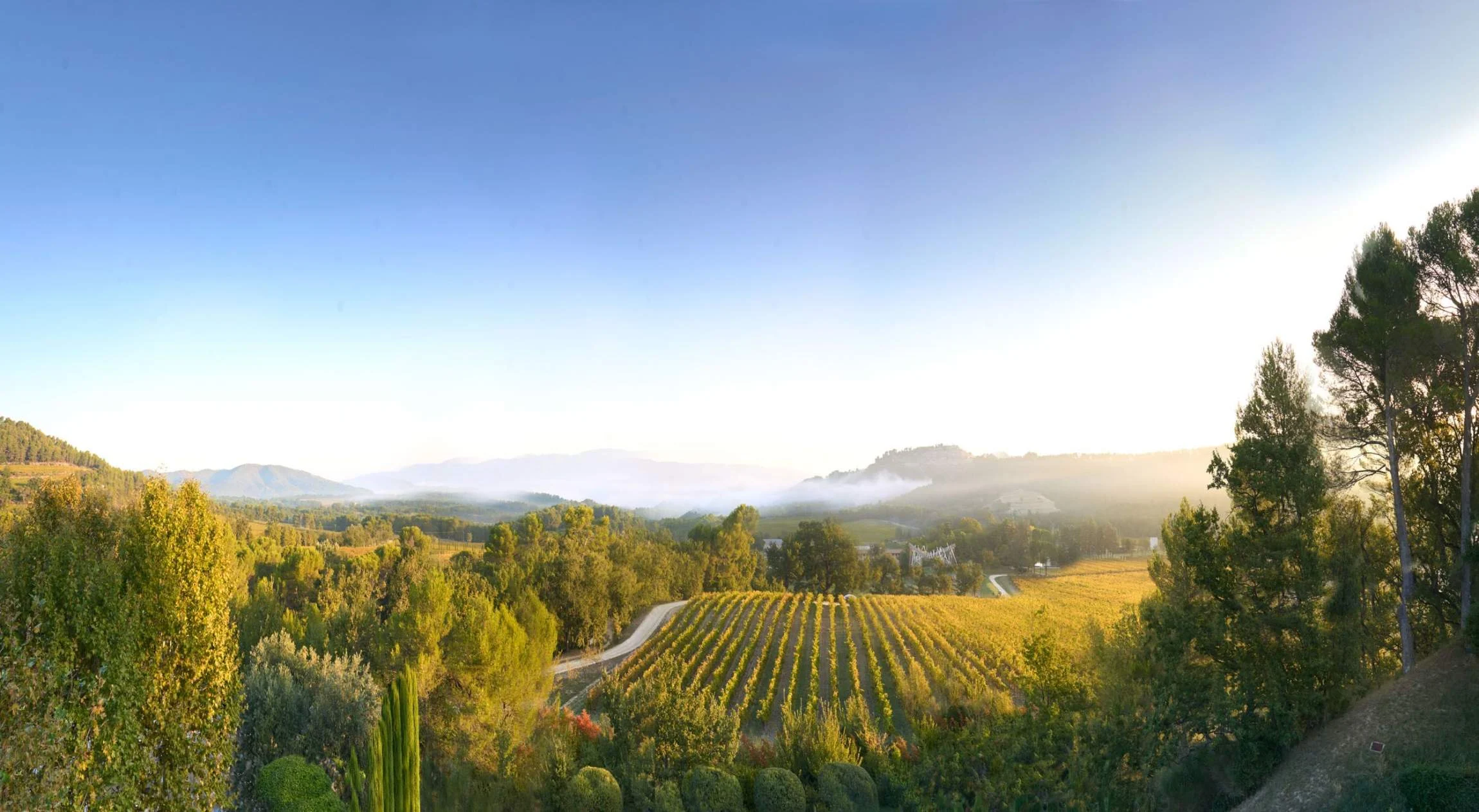 Les vignes dorées de Villa La Coste au soleil levant, face au Luberon, pour les vacances de la Toussaint