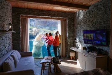 Une famille face à la baie vitrée d'une chambre de la White Bear House, avec un ours blanc juste derrière la vitre, à Pairi Daiza